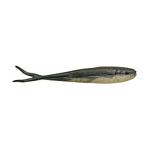 Gulp 2.5" Minnow GMI2-BS