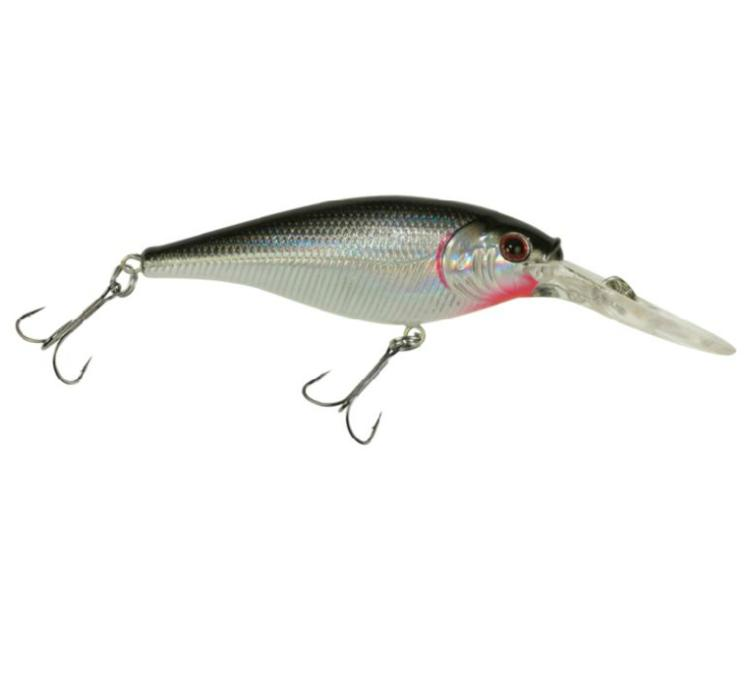 Flicker Shad