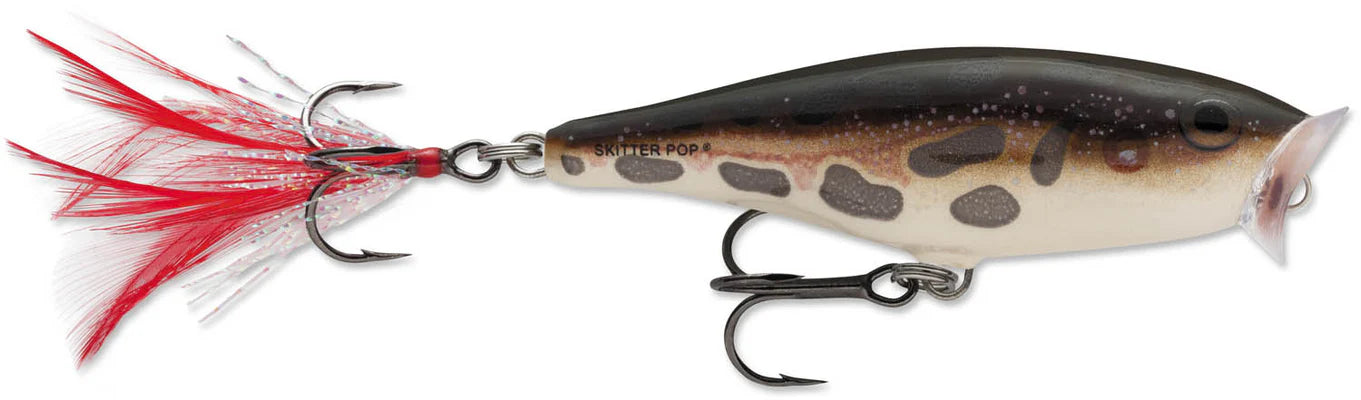 Rapala Skitter Pop 07 2 3/4 inch Topwater Popper