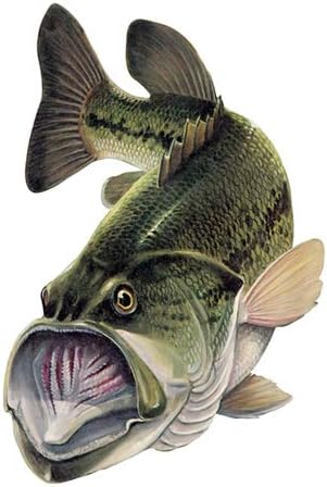 STC Decal - Largemouth Bass Action Fish Decal Sticker ~ Fishing & Wildlife Series