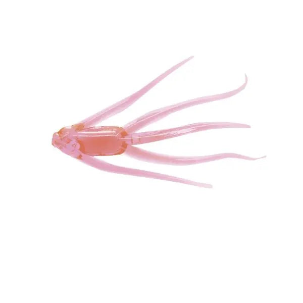 CLAM 9411CL MAKI CP6 1-1/4" 8PK PINK GLOW - PINK GLOW | 1-1/4"