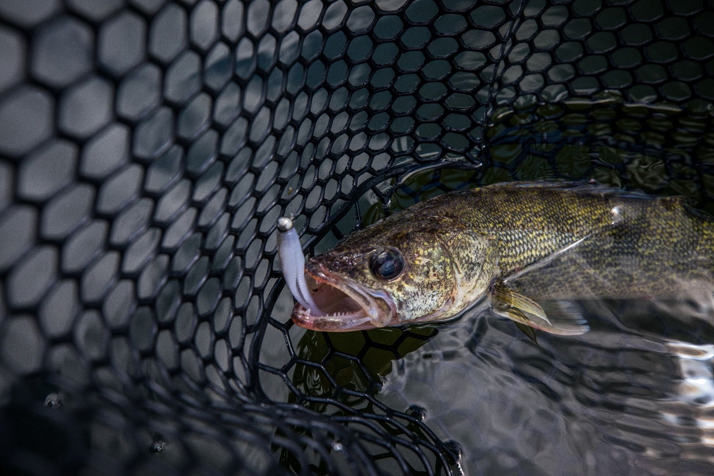 CLAM Fortis 175 Rubber Net