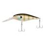 Flicker Shad