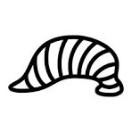 Leeches Jumbo 1/2 pound - Sold In-store ONLY