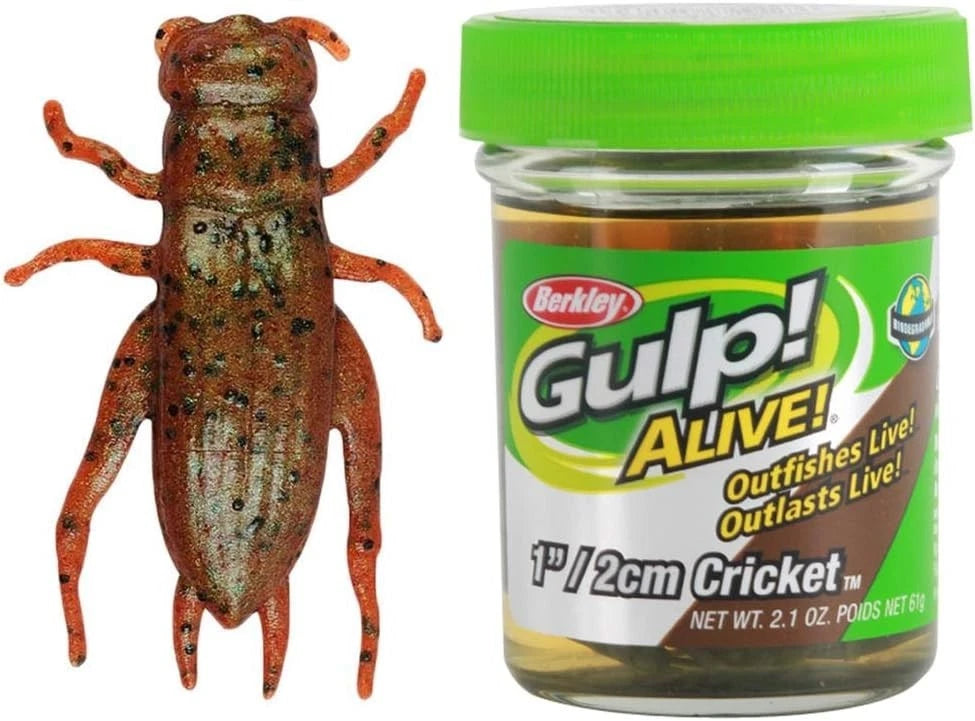 Gulp Alive Cricket Fishing Bait