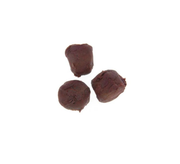 Berkley Gulp Catfish Dough GDCB5-BLB