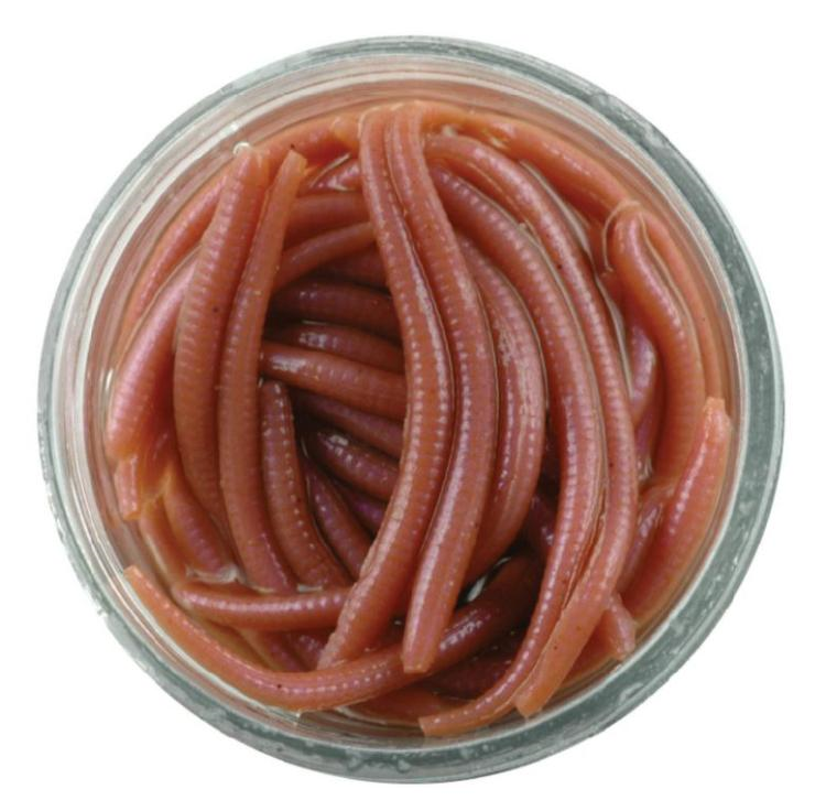 Gulp! ALIVE ANGLE WORM 1" GAJAW-NAT