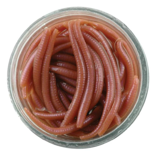 Gulp! ALIVE ANGLE WORM 1" GAJAW-NAT