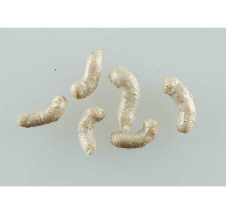 BERKLEY GAJMGWH GULP CP6 1" ALIVE! EXT MAGGOTS WHITE