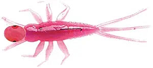 Northland IBMF1R-61 Impulse Mayfly Lure (2-Bugs 3-Tails), Pink/White, 1-Inch