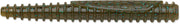 Rapala Crush City Ned BLT - 3in CCNBT3-GPBL