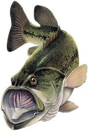 STC Decal - Largemouth Bass Action Fish Decal Sticker ~ Fishing & Wildlife Series