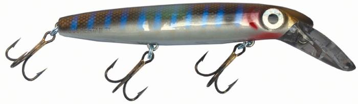 JBO Depth Raider 6"