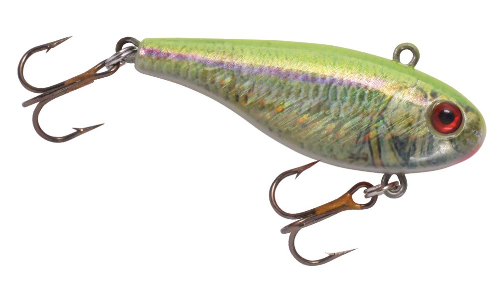 Lindy Darter