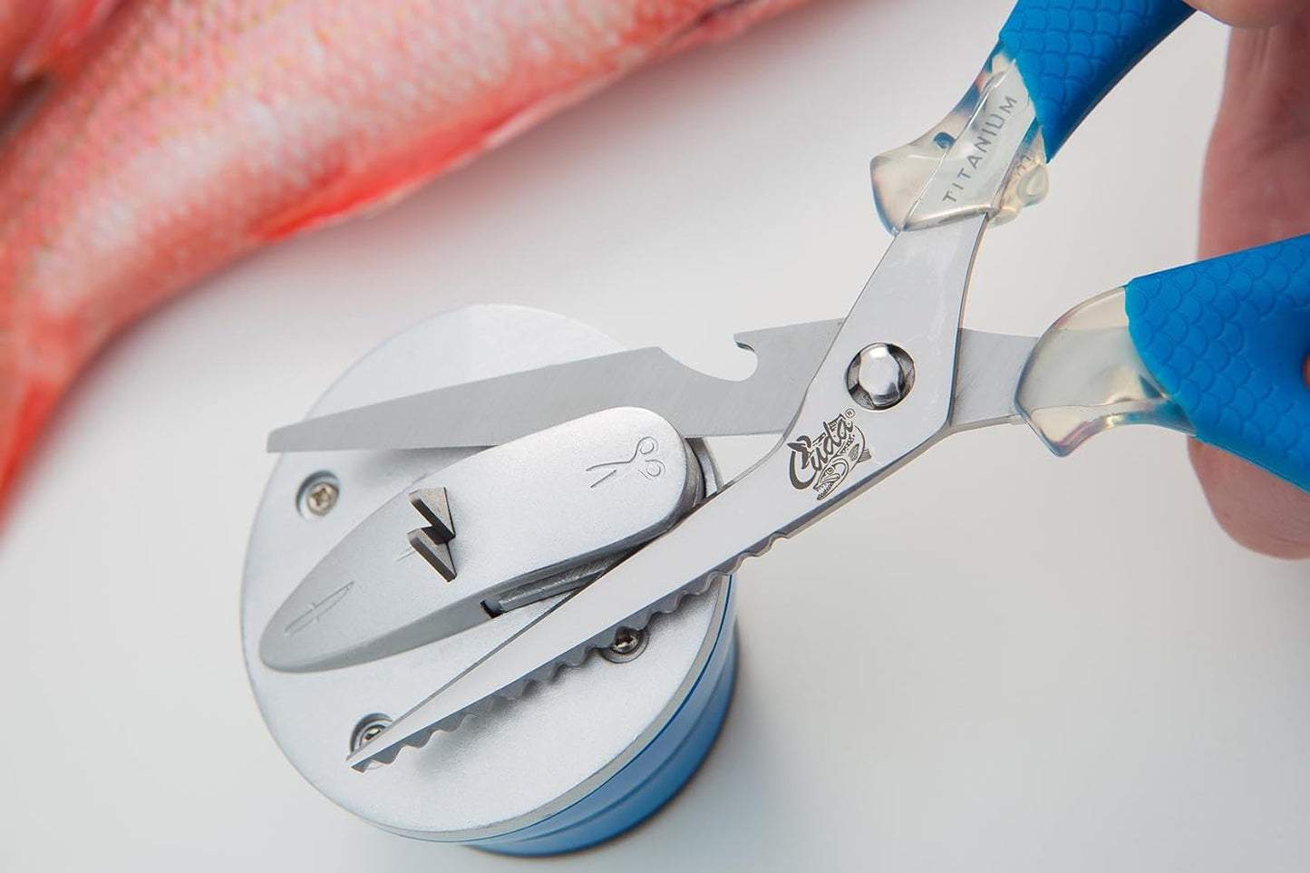 CUDA KNIFE & SHEAR SHARPENER