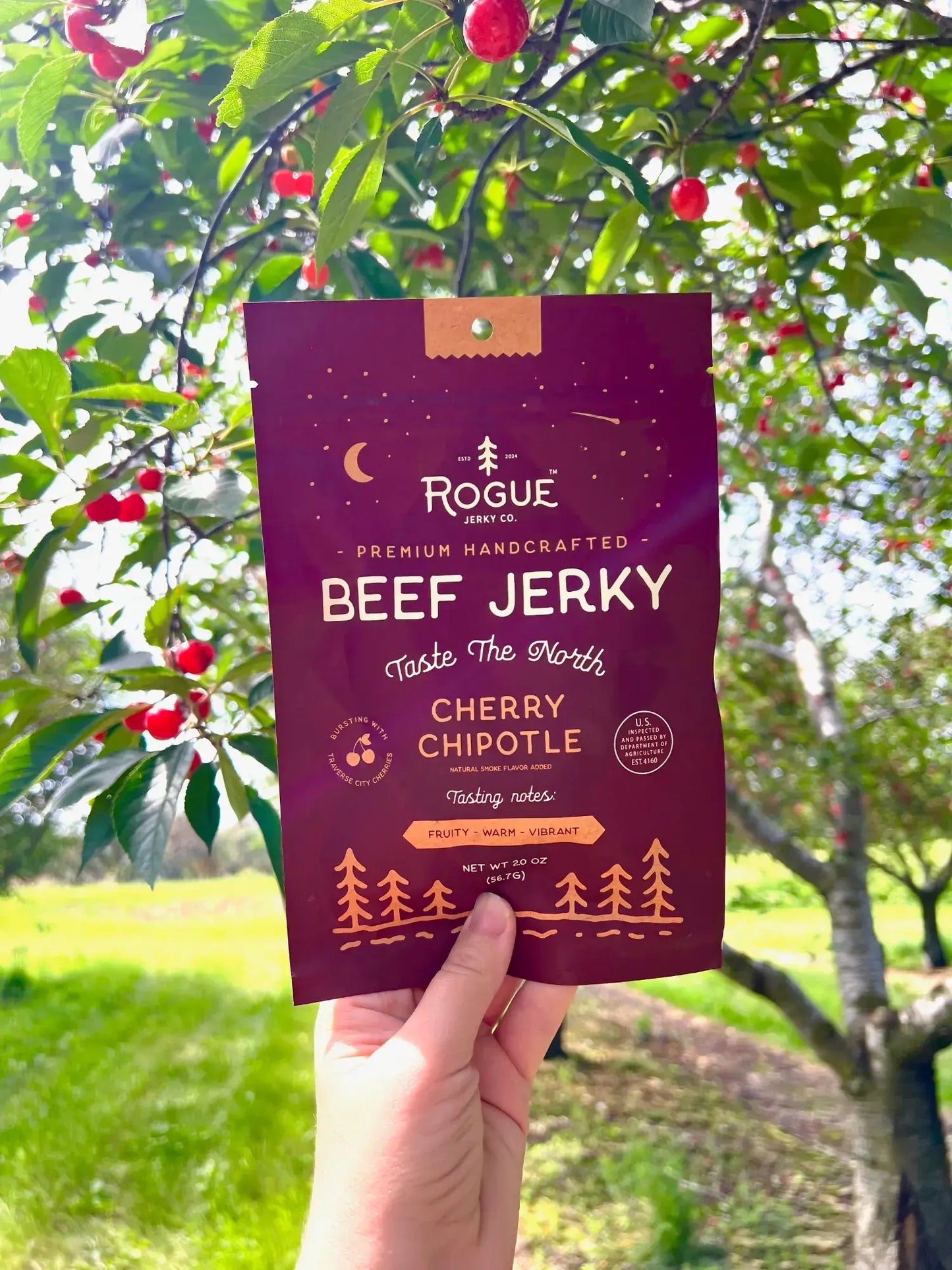 Rogue Jerky Co. Beef Jerky