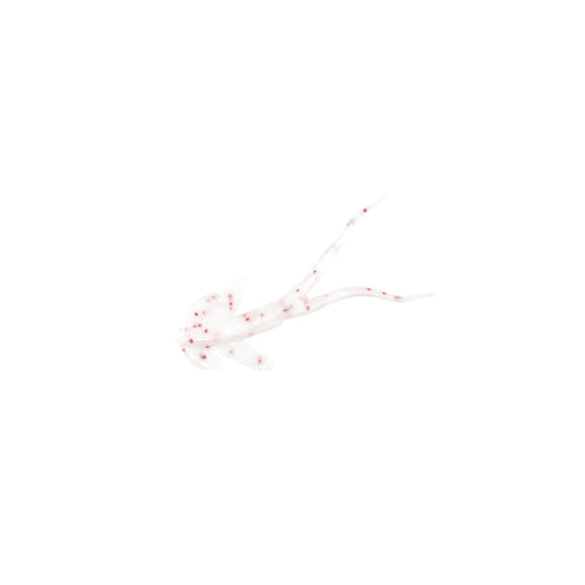 CLAM 10208CL MATDI CP6 1 1/2" 8PK WHITE RED FLAKE - WHITE RED FLAKE | 11/2"