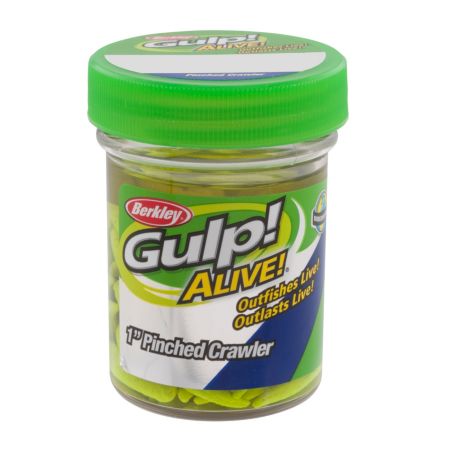 BERKLEY GAJPC1CH CP6 1" PNCH CRWLR GULP!ALIVE! CHT