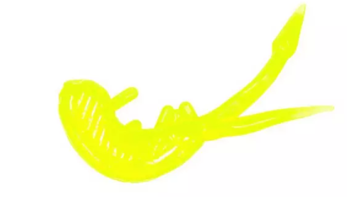 Clam Maki Plastics – Ice Fishing Soft Baits