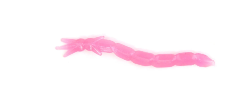 Clam Maki Plastics – Ice Fishing Soft Baits