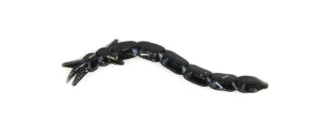 Clam Maki Plastics – Ice Fishing Soft Baits
