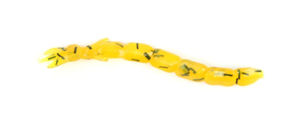Clam Maki Plastics – Ice Fishing Soft Baits