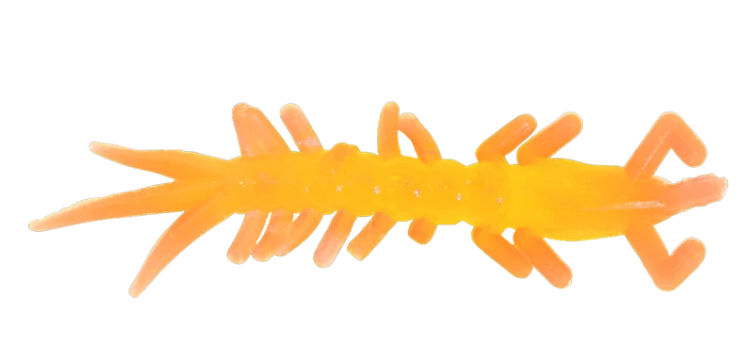 Clam Maki Plastics – Ice Fishing Soft Baits