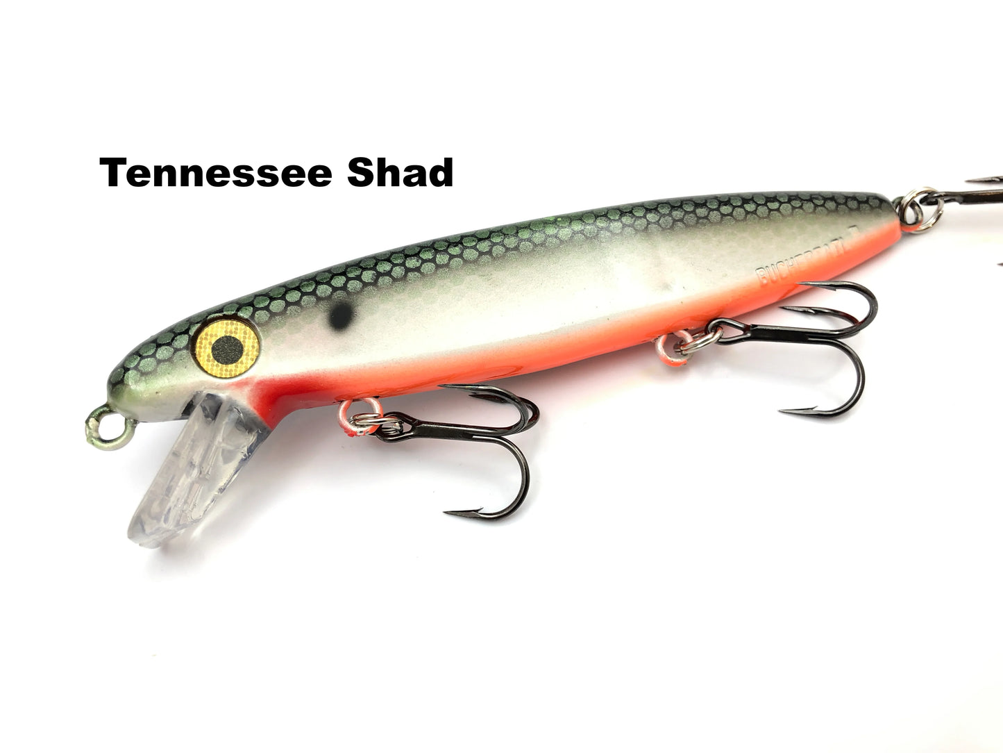 JBO ShallowRaider 7" Prism