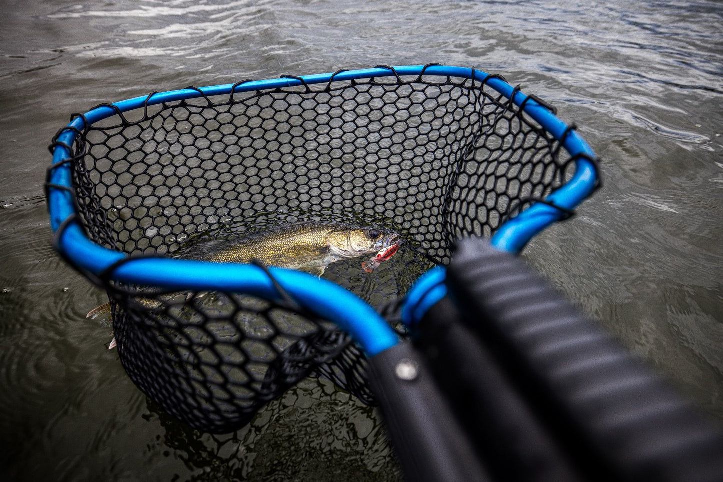 CLAM Fortis 175 Rubber Net