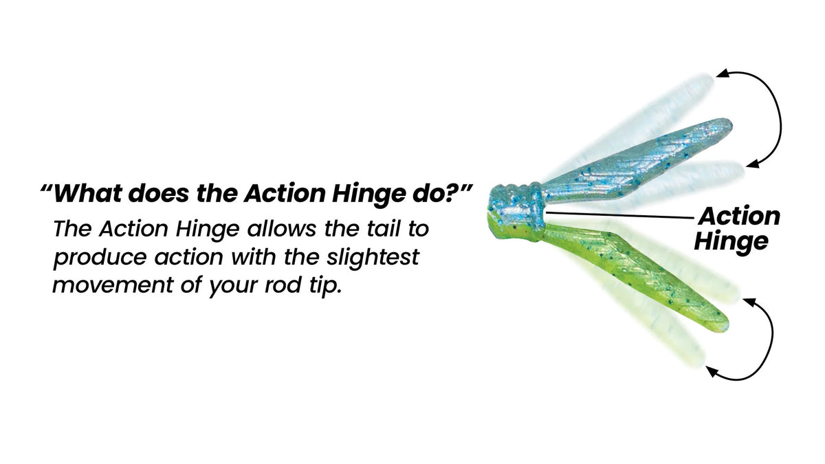 1standard Minnow1 - 2MN1-11