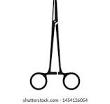 8" Forceps SS Straight