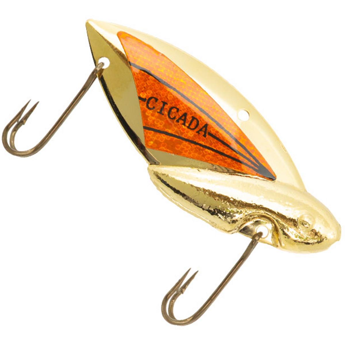 Reef Runner Cicada