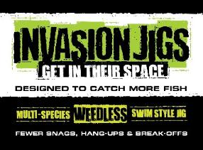 INVASION WEEDLESS SPINNER JIGS 1/8oz. 1 Pack