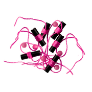 ROD N BOBBS Slip Bobber Stops AND GLOW BEAD PINK 6 PACK