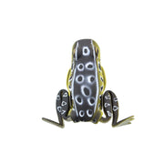 Popping Frog - QPOP03