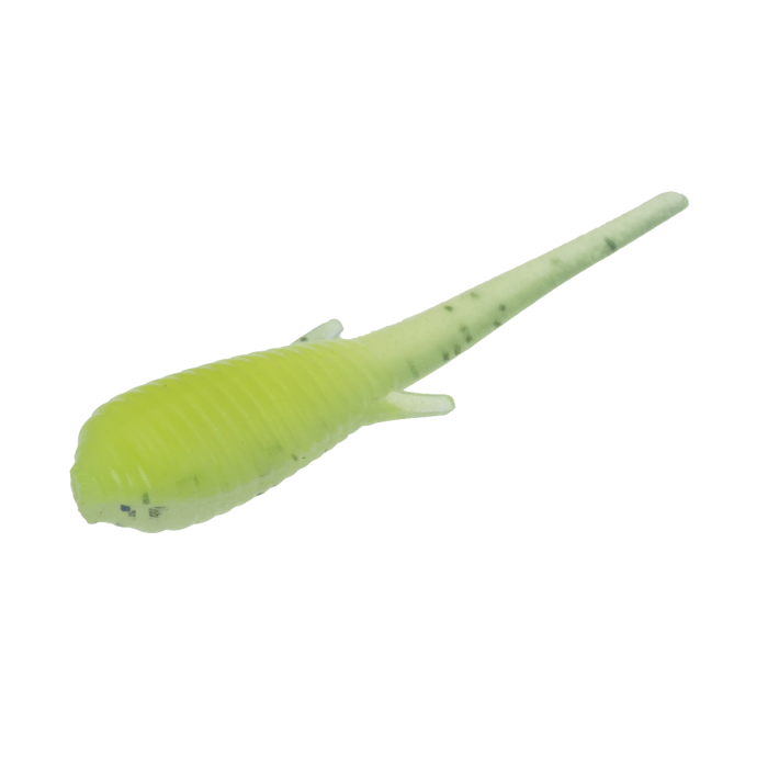 Clam Niku Soldier Fly