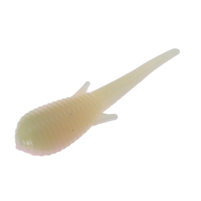 Clam Niku Soldier Fly