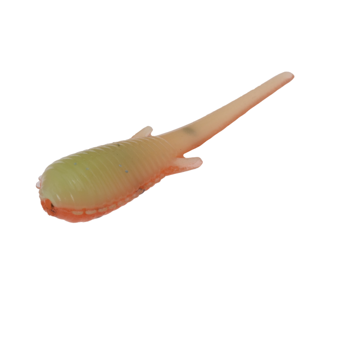 Clam Niku Soldier Fly