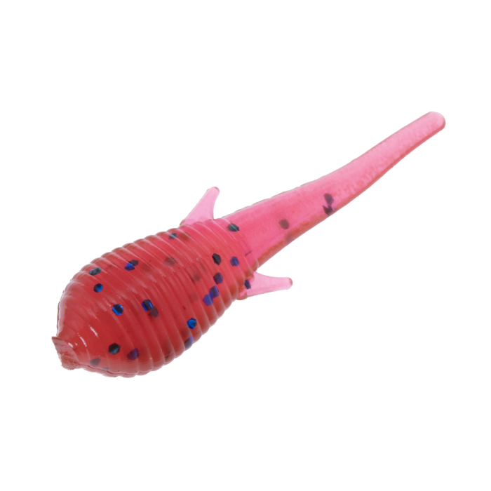 Clam Niku Soldier Fly