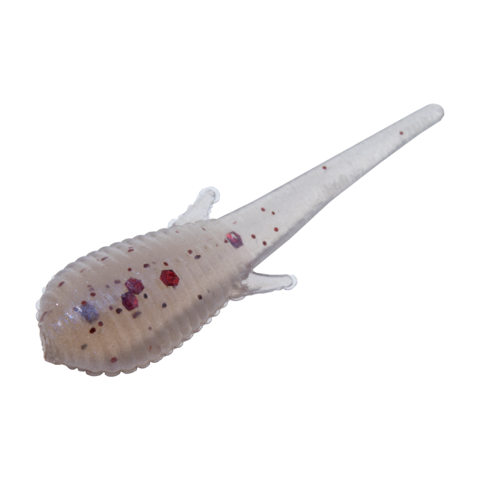 Clam Niku Soldier Fly