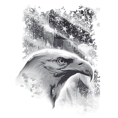 SolarTrans Bald Eagle Head with American Flag Background T-shirt
