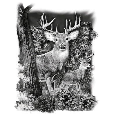 solartrans whitetail deer buck in woods t-shirt